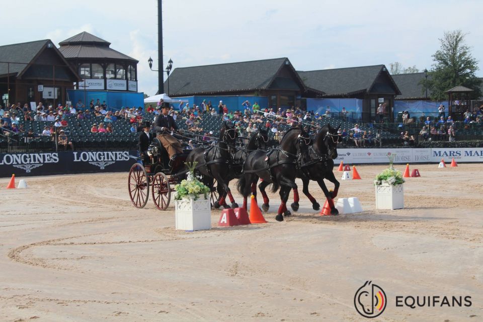 Edouard Simonet - Attelage à 4 chevaux - JEM Tryon 2018 @Equifans Edouard Simonet - Attelage à 4 chevaux - JEM Tryon 2018 @Equifans
