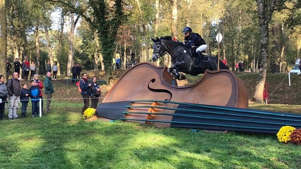 Manon Minner avec Cool Dancer au Lion d'Angers - octobre 2018 @ facebook Manon Minner Manon Minner avec Cool Dancer au Lion d'Angers - octobre 2018 @ facebook Manon Minner