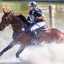 Lara de Liedekerke et Averouge des Quatre Chênes - 2014 - Jeffrey Fierens - www.nifin.be (c) Lara de Liedekerke et Averouge des Quatre Chênes - 2014 - Jeffrey Fierens - www.nifin.be (c)