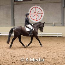 Celien Meert - Dressage - Round 2 - K. Media (c) Celien Meert - Dressage - Round 2 - K. Media (c)