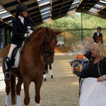 GHO - Dressage Boulant-Fontaine - Coupe Cavalor 2017 GHO - Dressage Boulant-Fontaine - Coupe Cavalor 2017