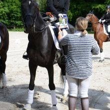 GHCR - Dressage - Coupe Cavalor 2017 GHCR - Dressage - Coupe Cavalor 2017