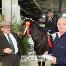 Arena Pony Trophy - JIL 2016 (c) Temps de Poses JIL 2016 (c) Temps de Poses