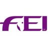 FEI FEI
